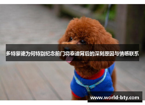 多特蒙德为何特别纪念前门将泰迪背后的深刻原因与情感联系
