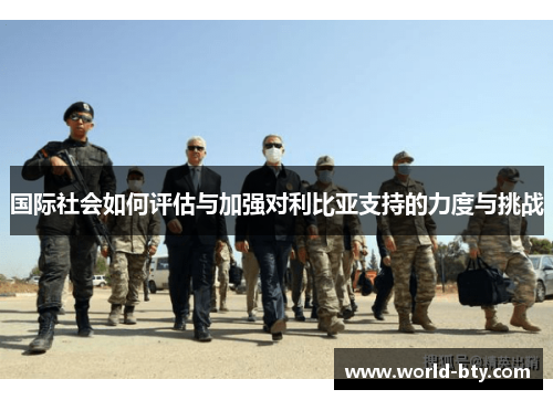 国际社会如何评估与加强对利比亚支持的力度与挑战