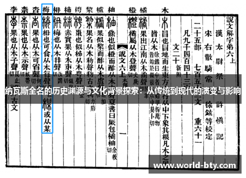 纳瓦斯全名的历史渊源与文化背景探索：从传统到现代的演变与影响