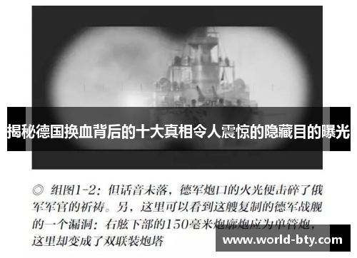 揭秘德国换血背后的十大真相令人震惊的隐藏目的曝光
